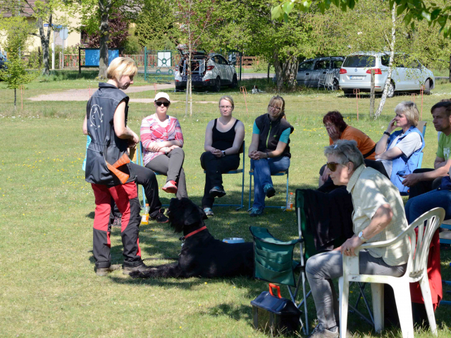 LIND-art® Seminar Dessau-Roßlau 06.05-08.05.2016