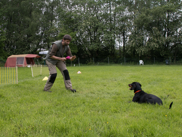 Mensch Hund Harmonie 04.06.2016