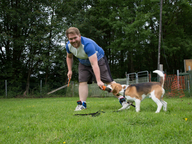 Mensch Hund Harmonie 11.06.2016