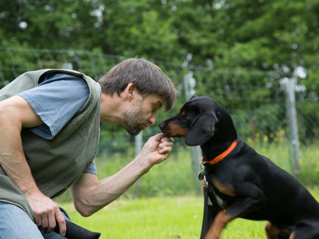 Mensch Hund Harmonie 11.06.2016