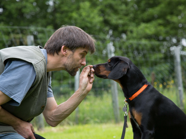 Mensch Hund Harmonie 11.06.2016