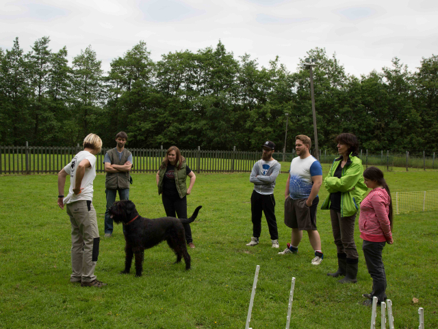 Mensch Hund Harmonie 11.06.2016