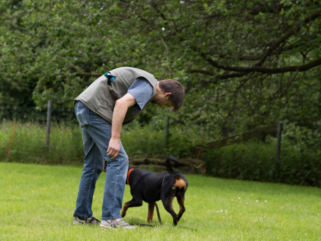 Mensch Hund Harmonie 11.06.2016