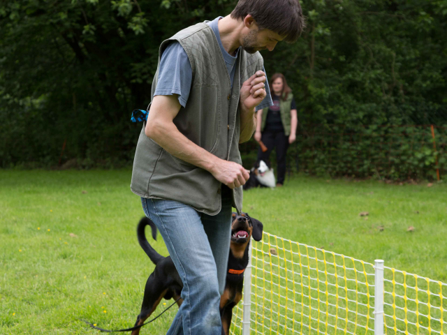 Mensch Hund Harmonie 11.06.2016