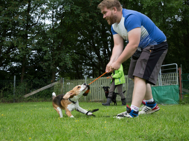 Mensch Hund Harmonie 11.06.2016