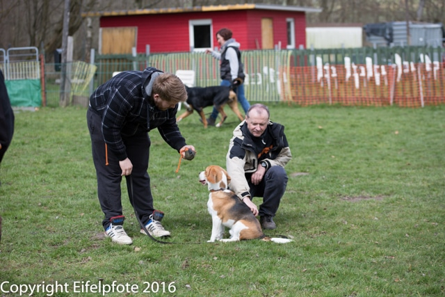 Team Balance Kurs 09.04.2016