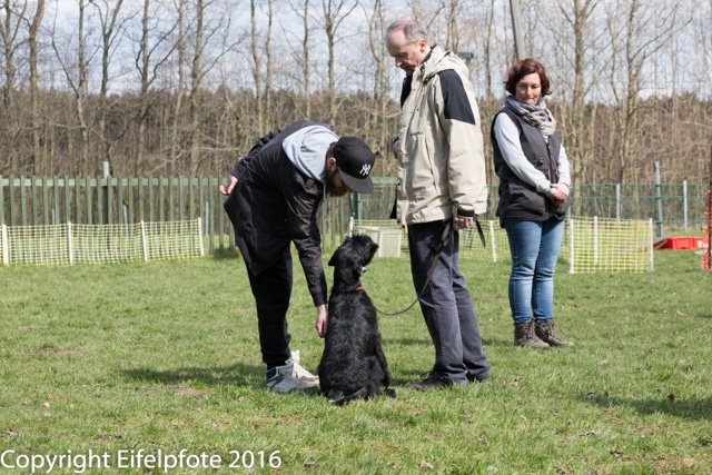 Team Balance Kurs 09.04.2016