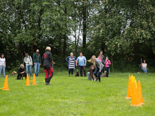 Welpenstunde 04.06.2016
