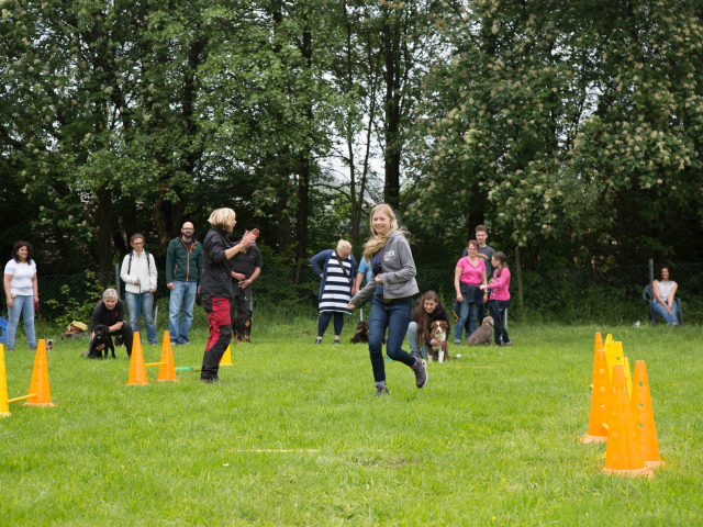 Welpenstunde 04.06.2016