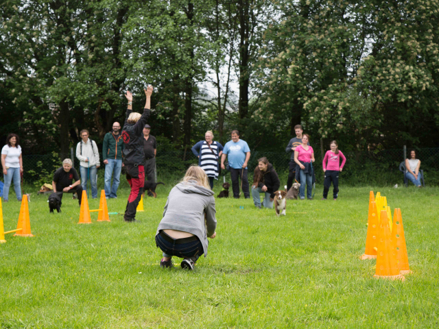 Welpenstunde 04.06.2016