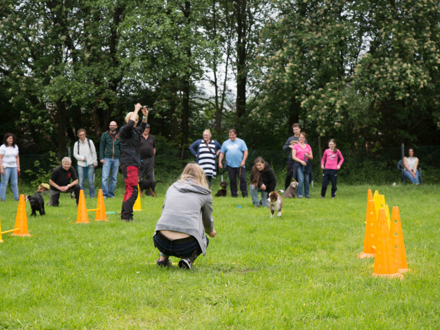 Welpenstunde 04.06.2016