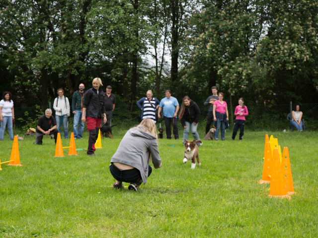 Welpenstunde 04.06.2016
