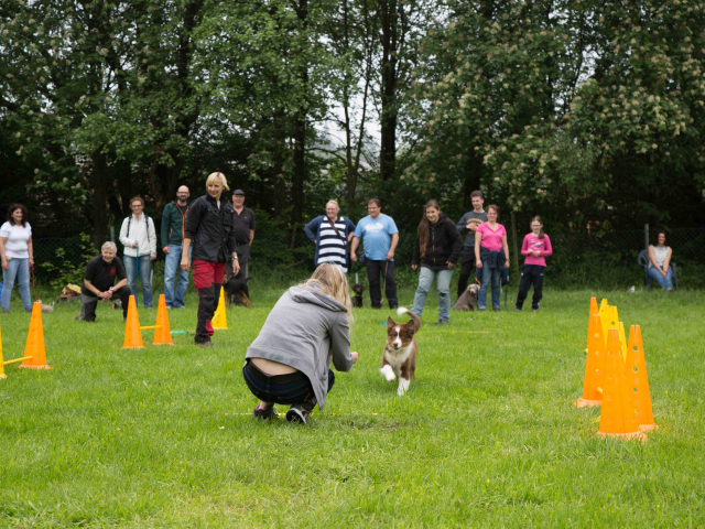 Welpenstunde 04.06.2016