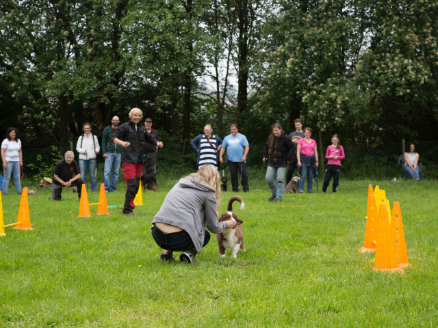 Welpenstunde 04.06.2016