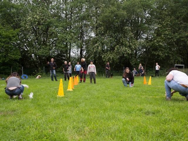 Welpenstunde 04.06.2016
