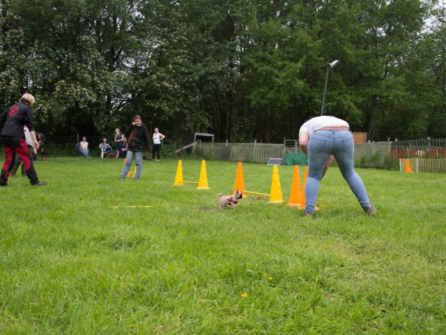 Welpenstunde 04.06.2016