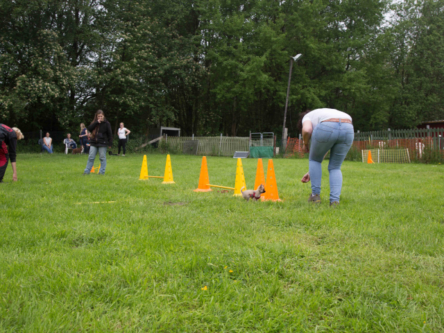 Welpenstunde 04.06.2016